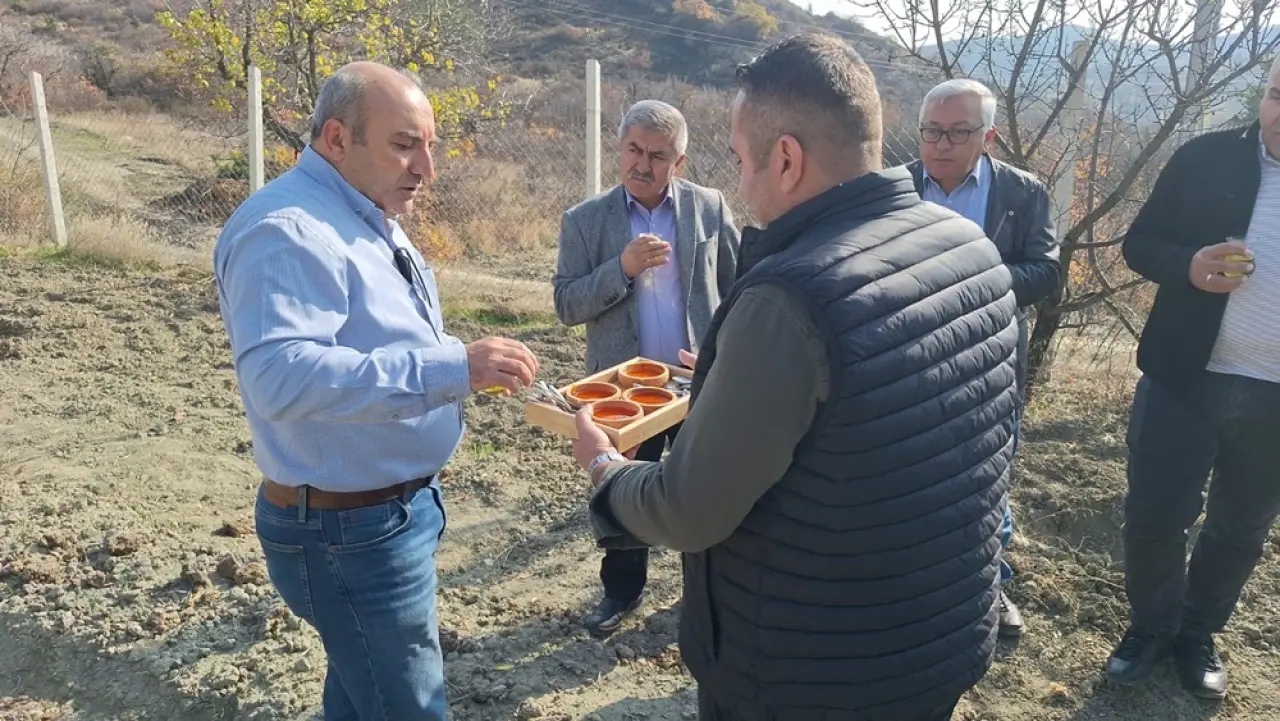 Dünyanın En Pahalı Baharatını Yetiştiriyor 3