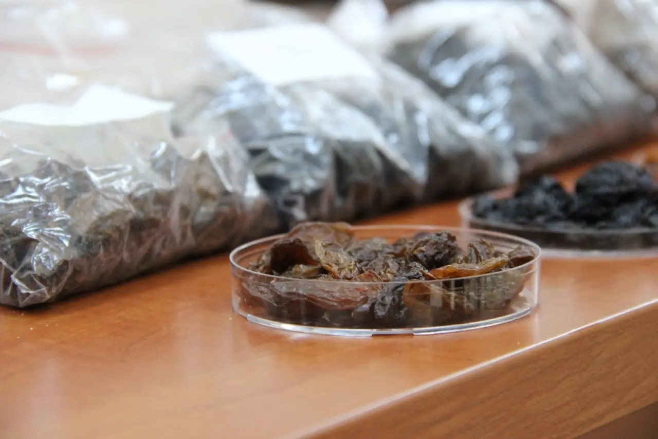 500 Milyon Dolarlık İhracata Bilimsel Kalkan 2