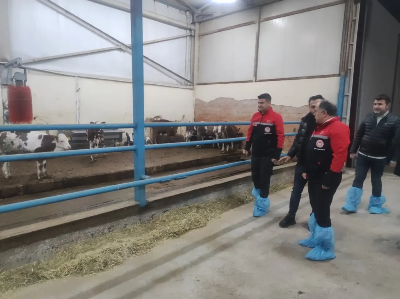 Hayvancılığa ‘Robot’ Eli Değdi 5