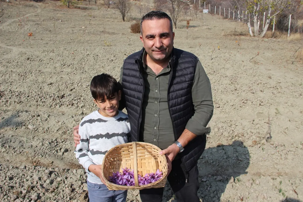 Dünyanın En Pahalı Baharatını Yetiştiriyor 1