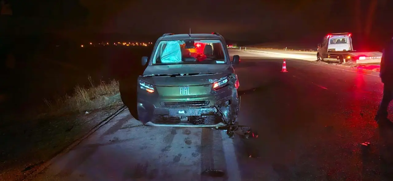 Yola çıkan dana kazaya neden oldu 1