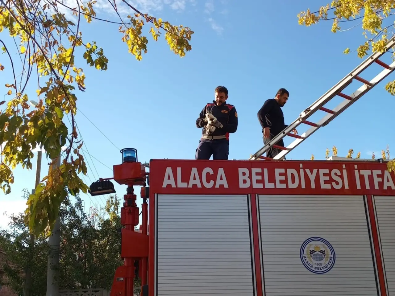 Mahsur Kalan Yavru Kedi İtfaiye Ekiplerince Kurtarıldı 1