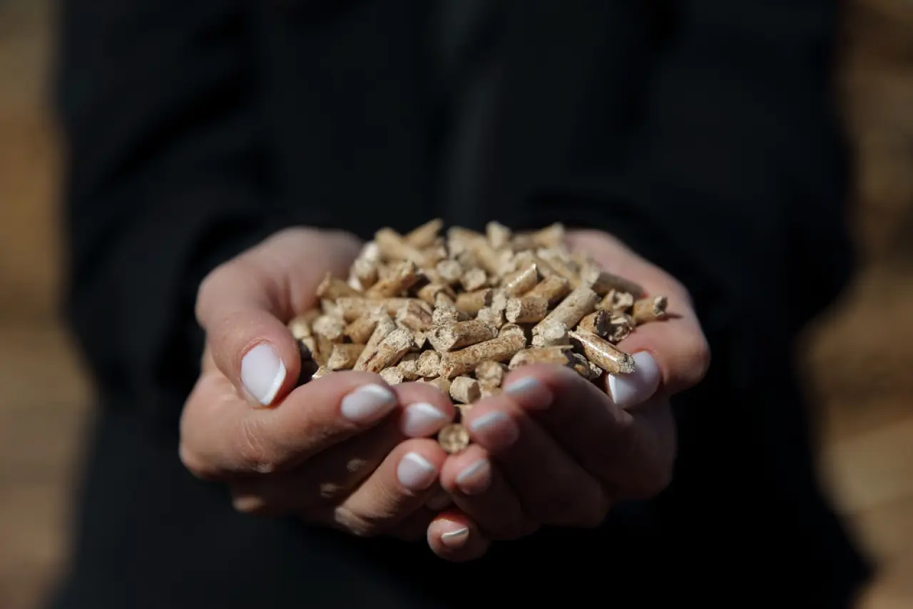 Ahşap Atıkları Ekonomiye Kazandırılıyor 3