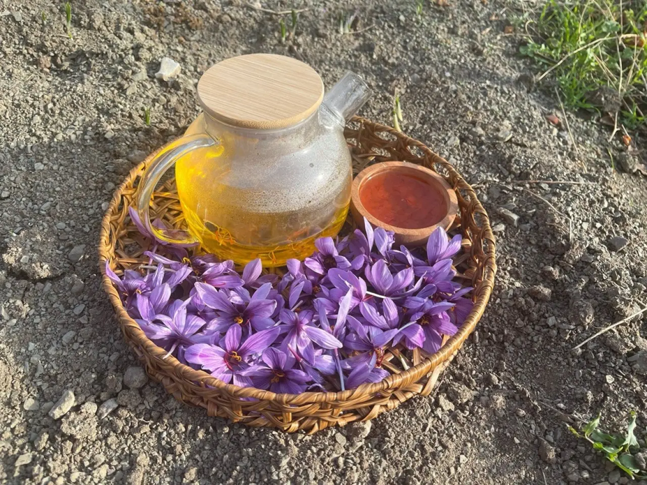 Dünyanın En Pahalı Baharatını Yetiştiriyor 2