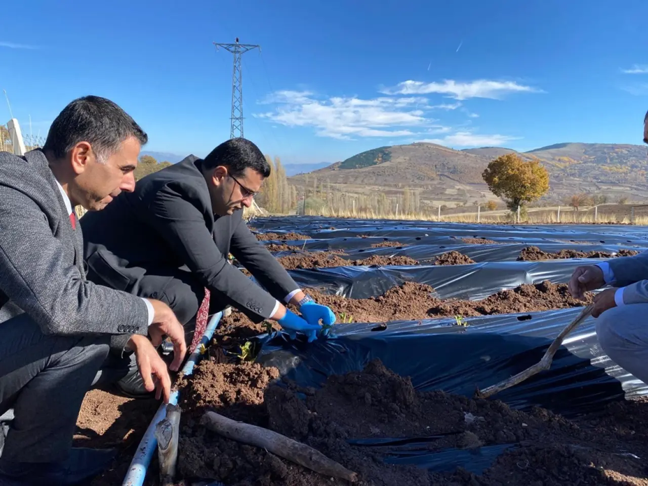 Oğuzlar’da Çilek Üretimini Çeşitlendirme Adımı 3