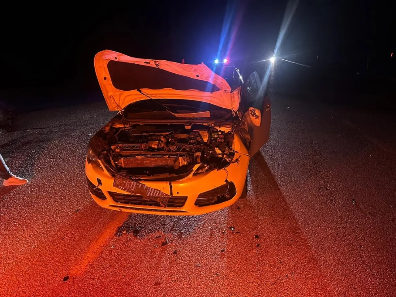 Otomobil Yola Çıkan Danaya Çarptı 1