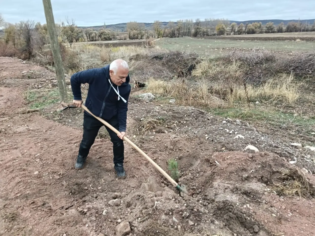 CHP’liler Ağaç Dikti 1