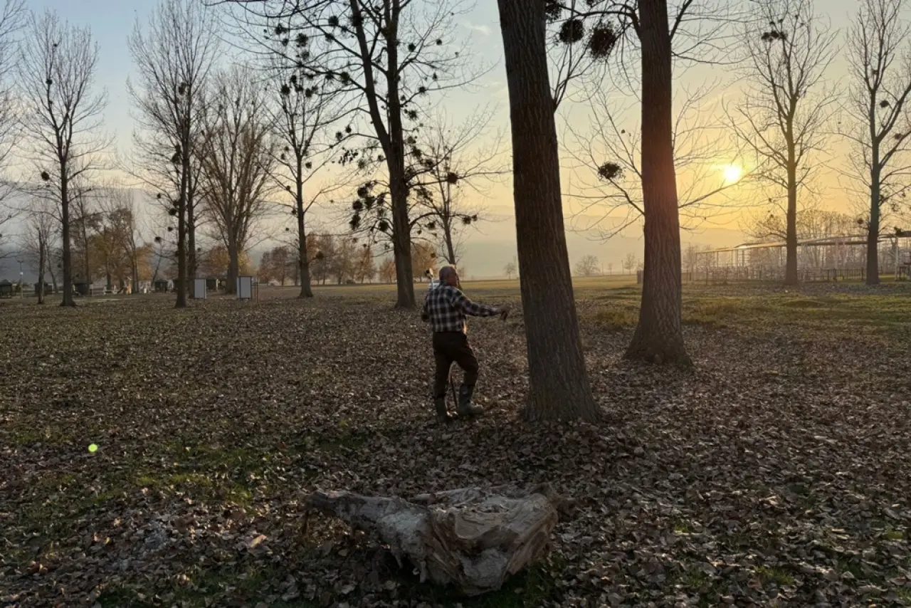 Botanik Konseptli Sosyal Tesis İçin Çalışmalar Başladı 4