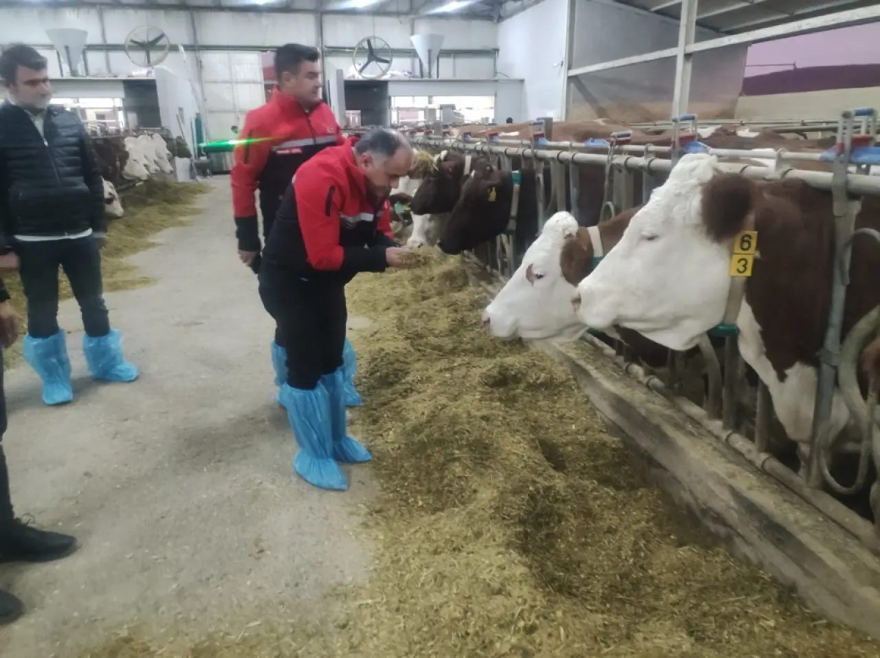 Hayvancılığa ‘Robot’ Eli Değdi 2