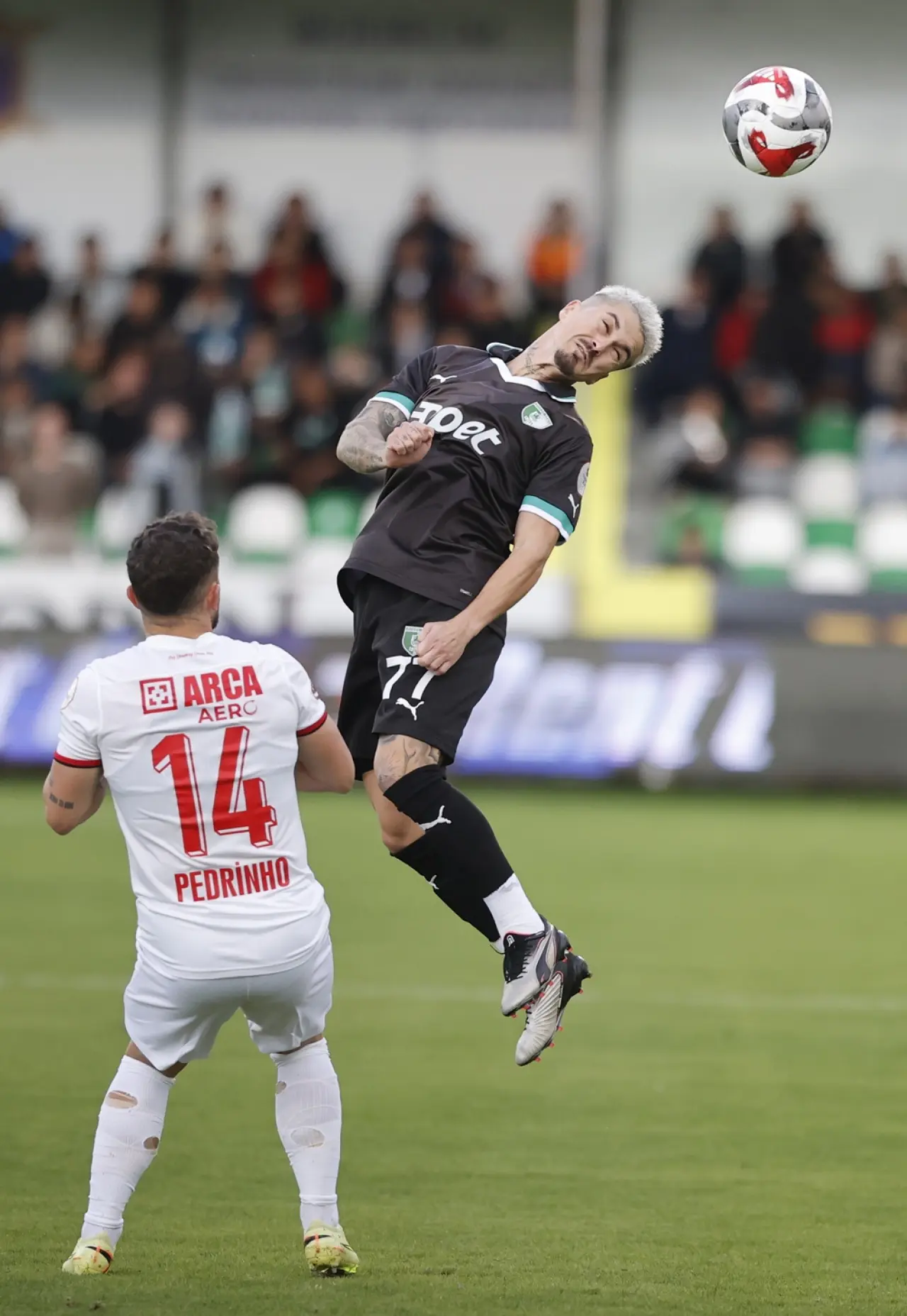 Bodrum’da Bir Kabus Daha 4-0 14