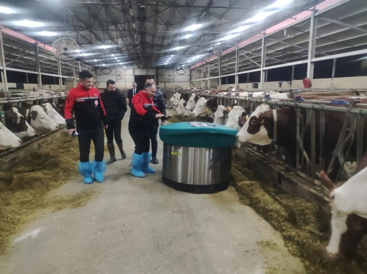 Hayvancılığa ‘Robot’ Eli Değdi 1