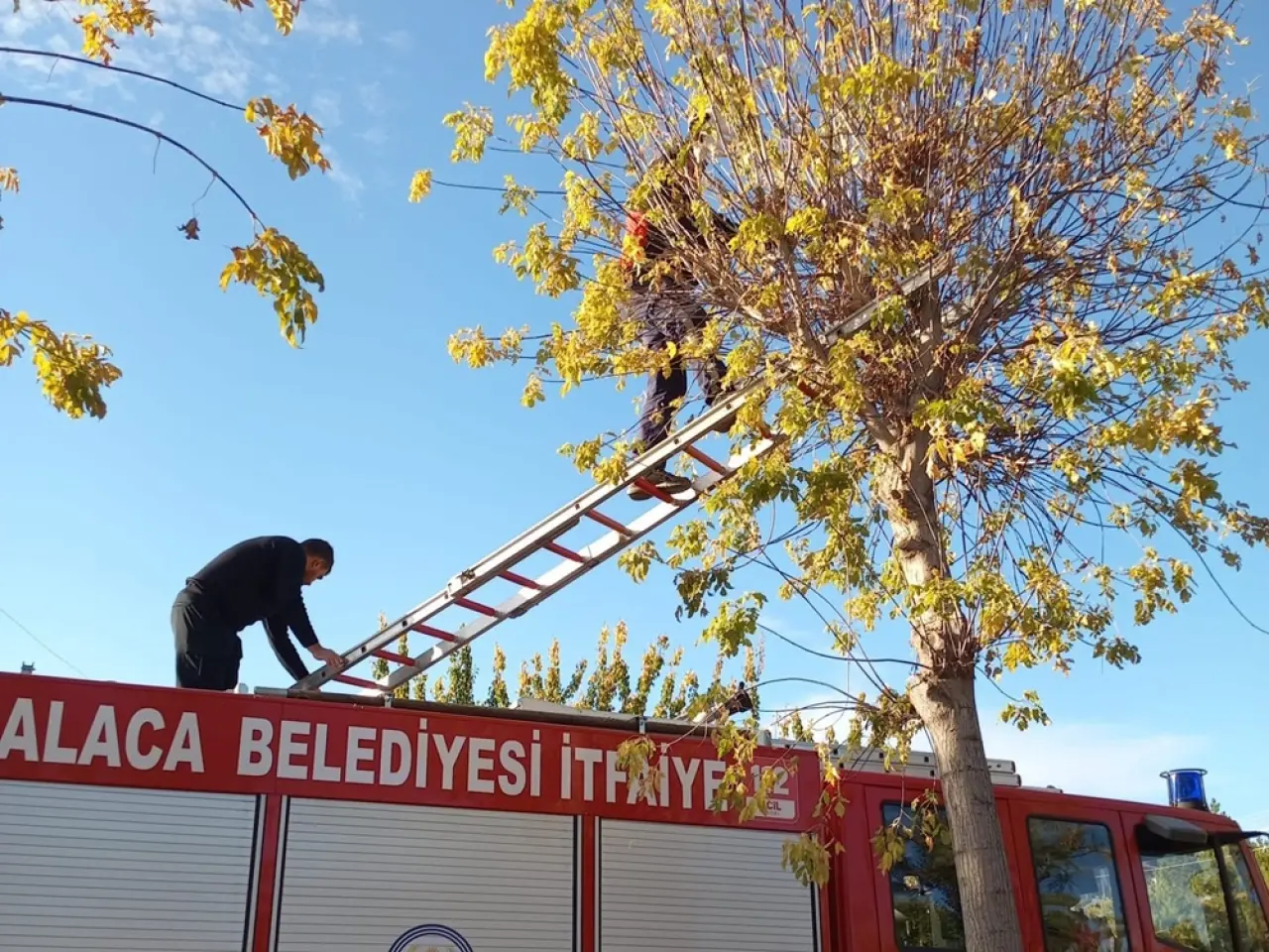 Mahsur Kalan Yavru Kedi İtfaiye Ekiplerince Kurtarıldı 4