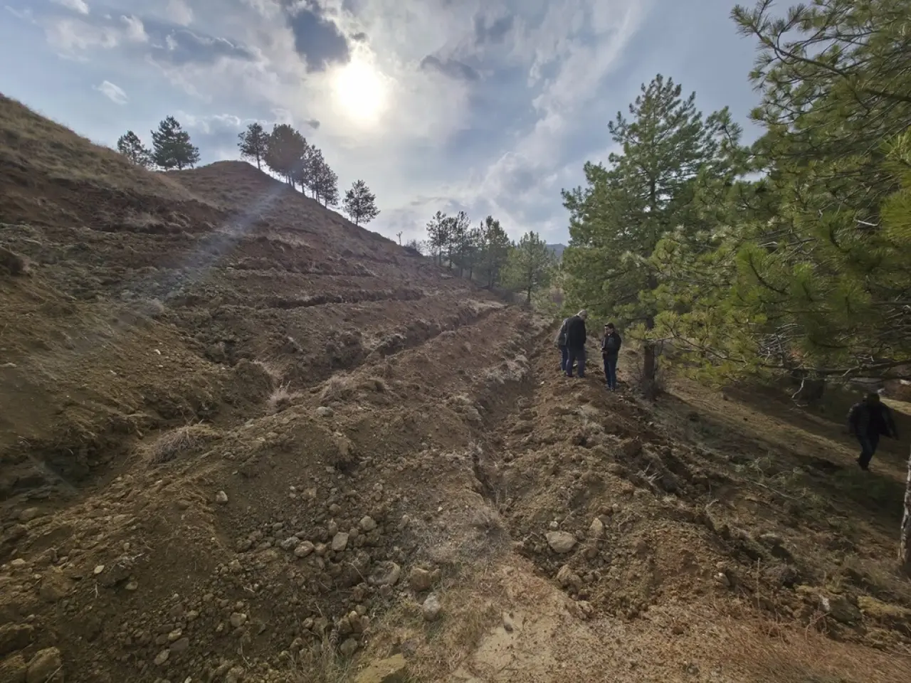 55 Dönümlük ‘Bal Ormanı’ Kuruluyor 2