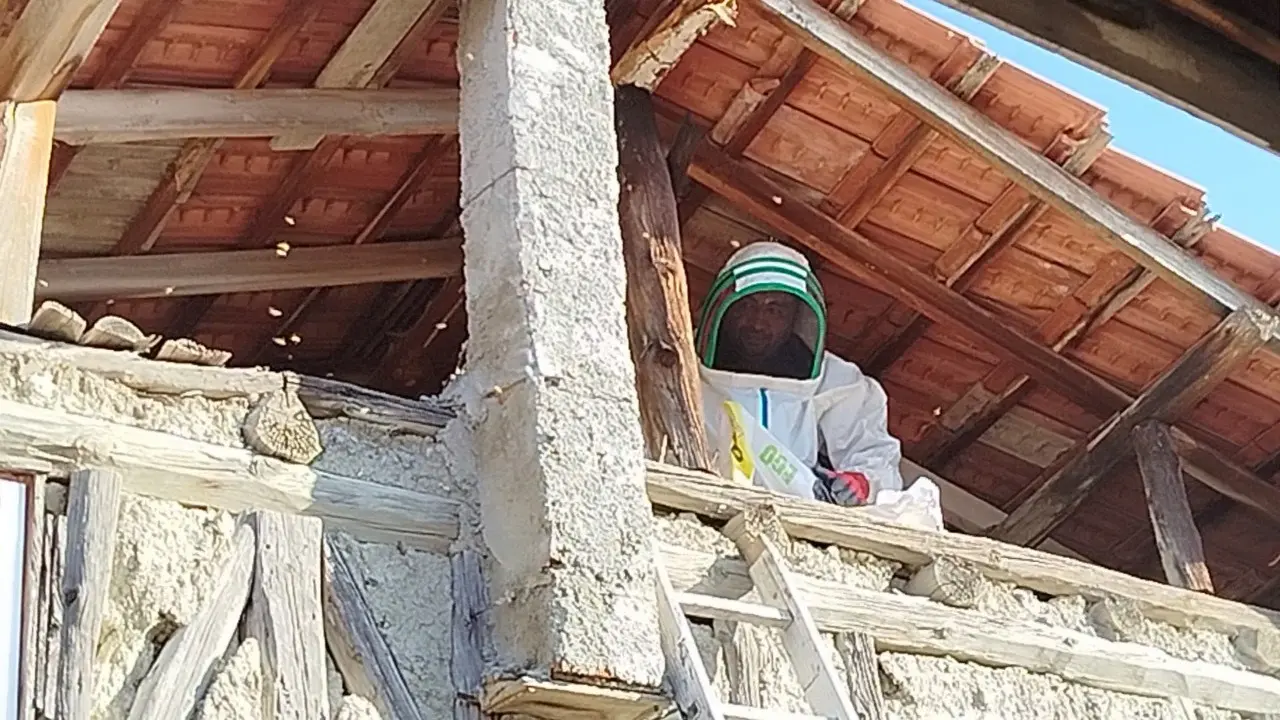 Evin Çatısına Yuva Yapan Eşek Arıları Hastanelik Etti 6