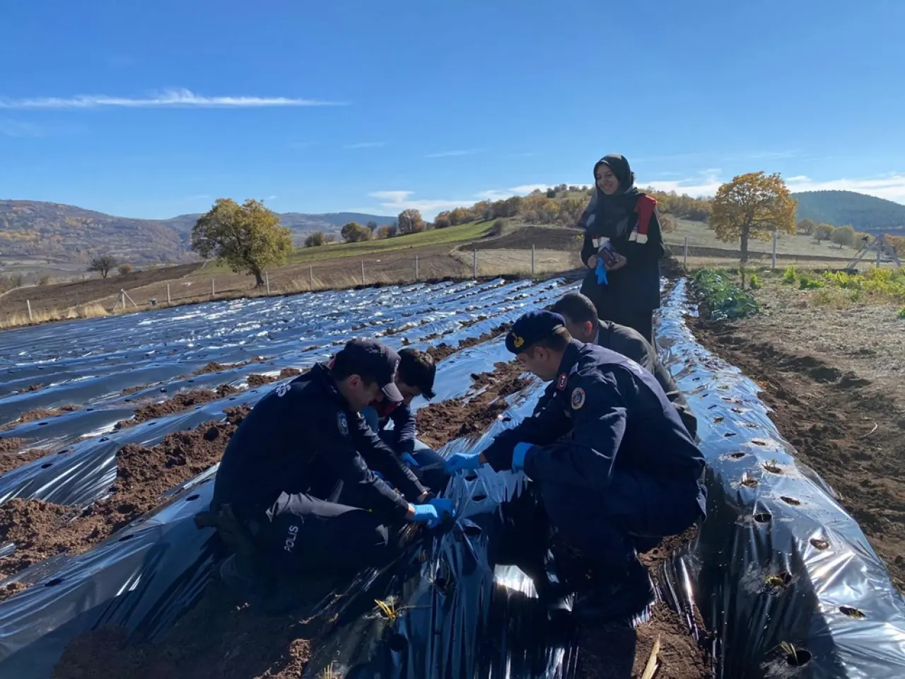 Oğuzlar’da Çilek Üretimini Çeşitlendirme Adımı 4
