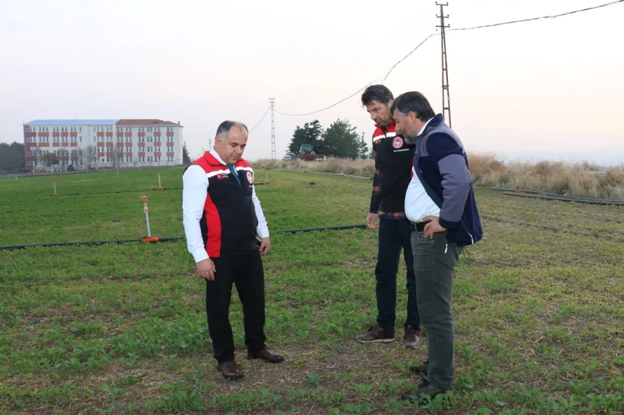 Kanola, Hayvancılık ve Mısır Hasadı İncelendi 5