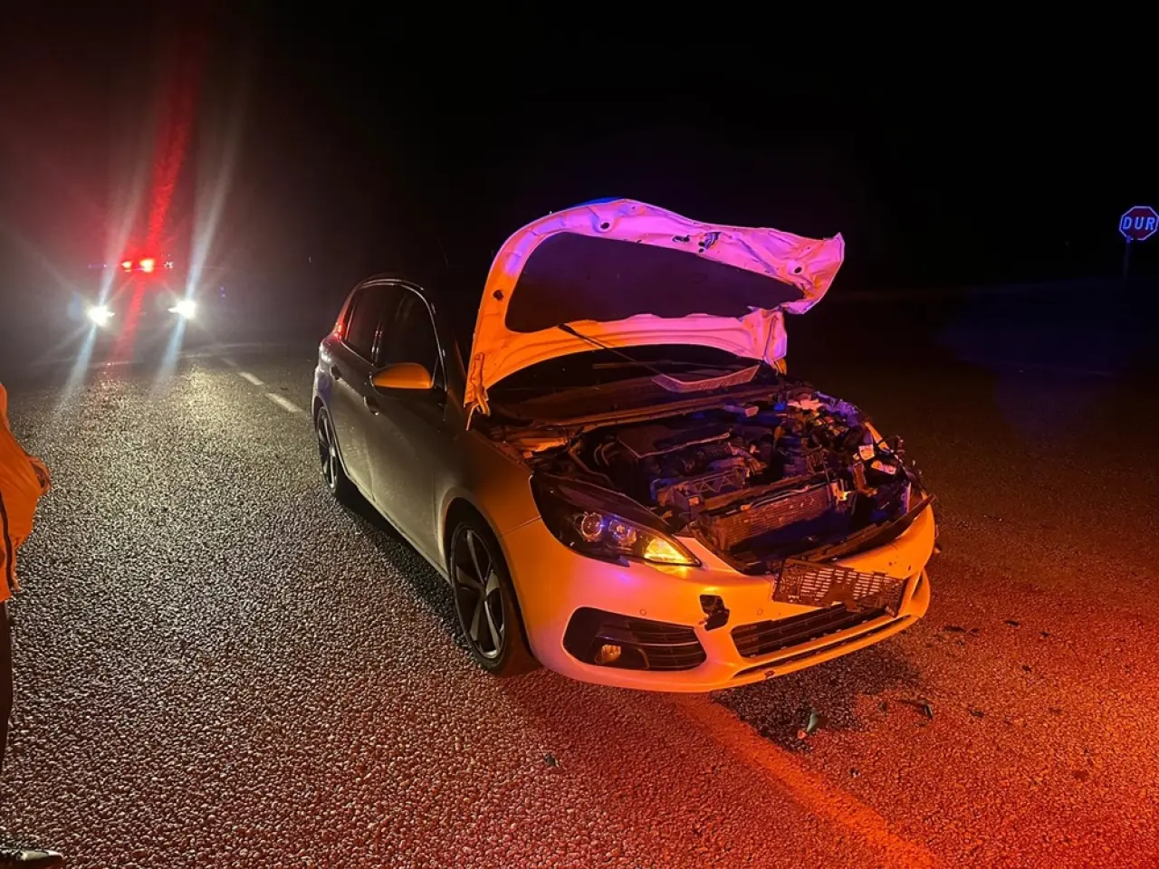 Otomobil Yola Çıkan Danaya Çarptı 3