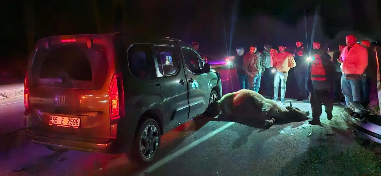 Yola çıkan dana kazaya neden oldu 3