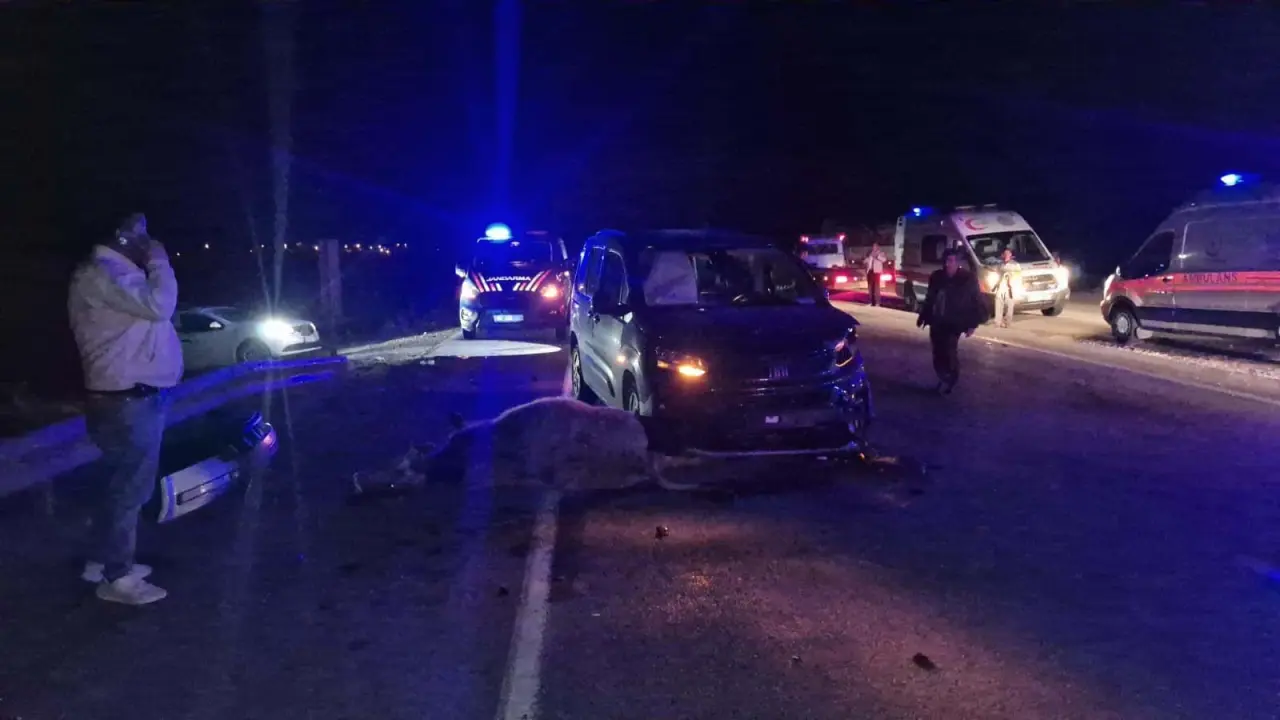 Yola çıkan dana kazaya neden oldu 5