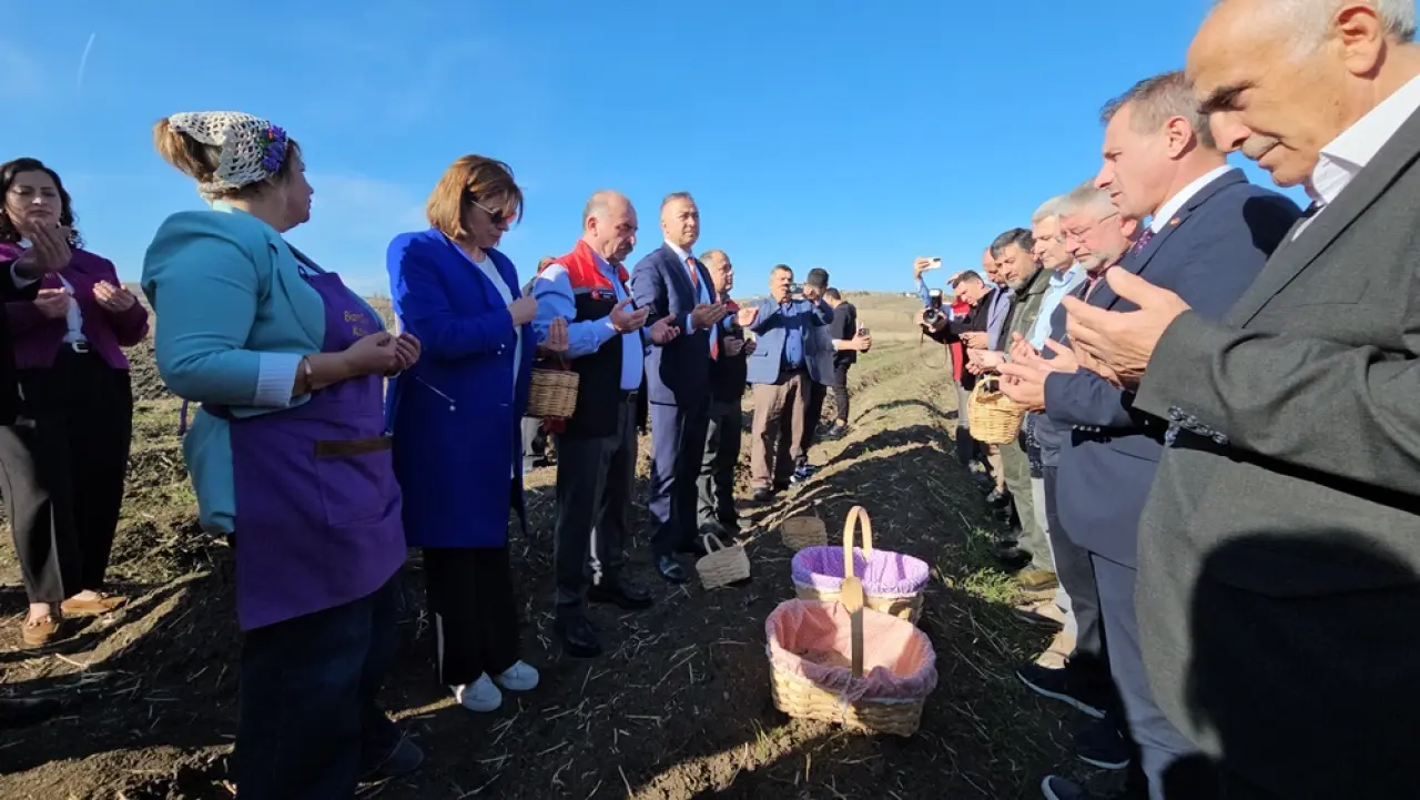 Safran Hasat Şenliği Yapıldı 1