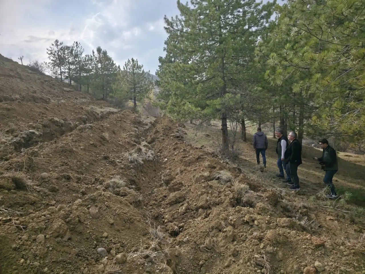 55 Dönümlük ‘Bal Ormanı’ Kuruluyor 3