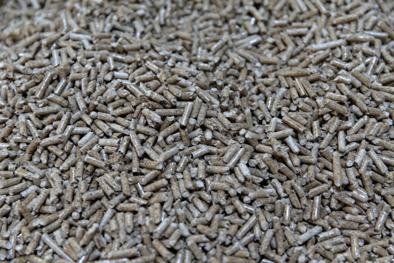 Ahşap Atıkları Ekonomiye Kazandırılıyor 10