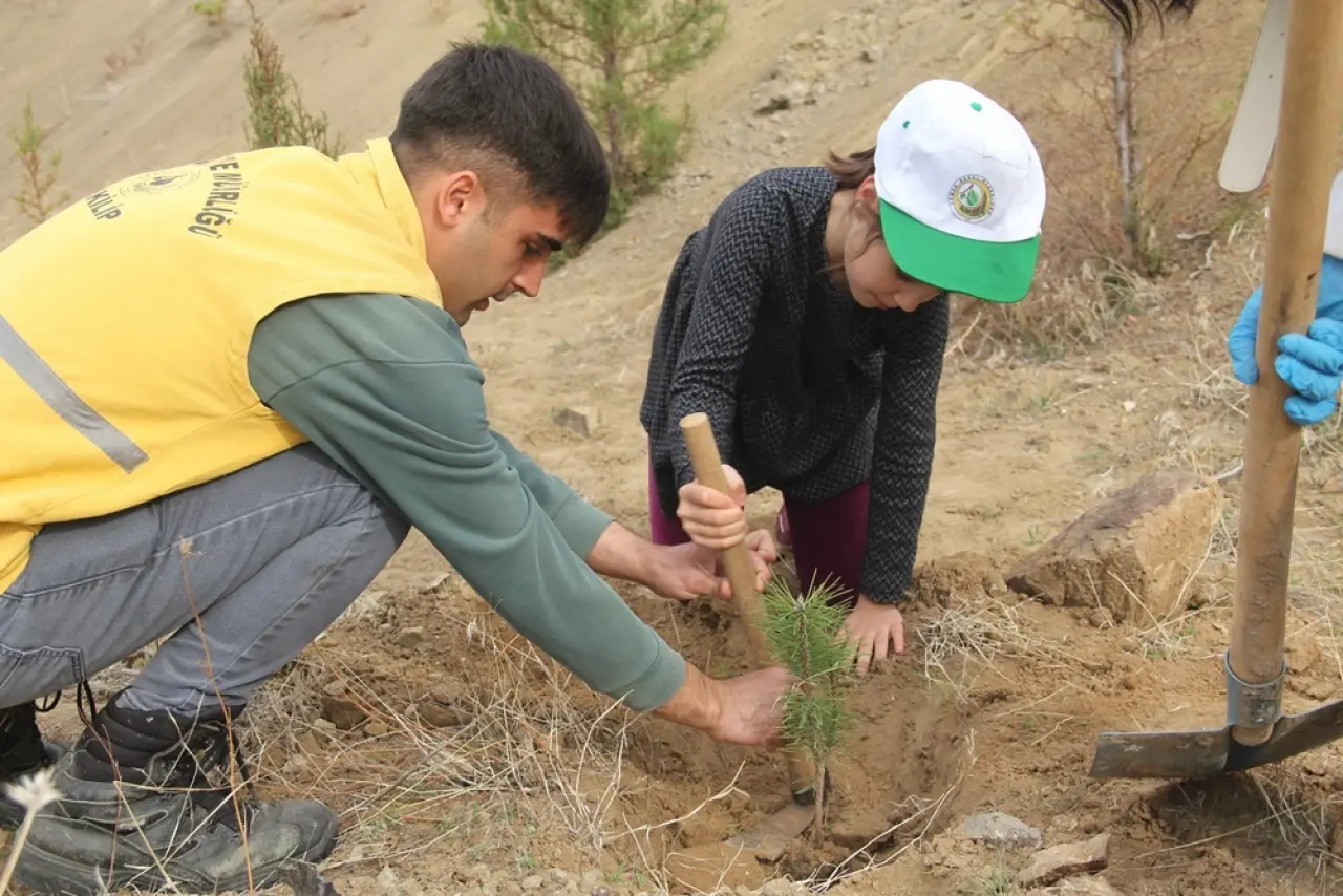 Oğuzlar'da Fidan Dikim Etkinliği Düzenlendi 3