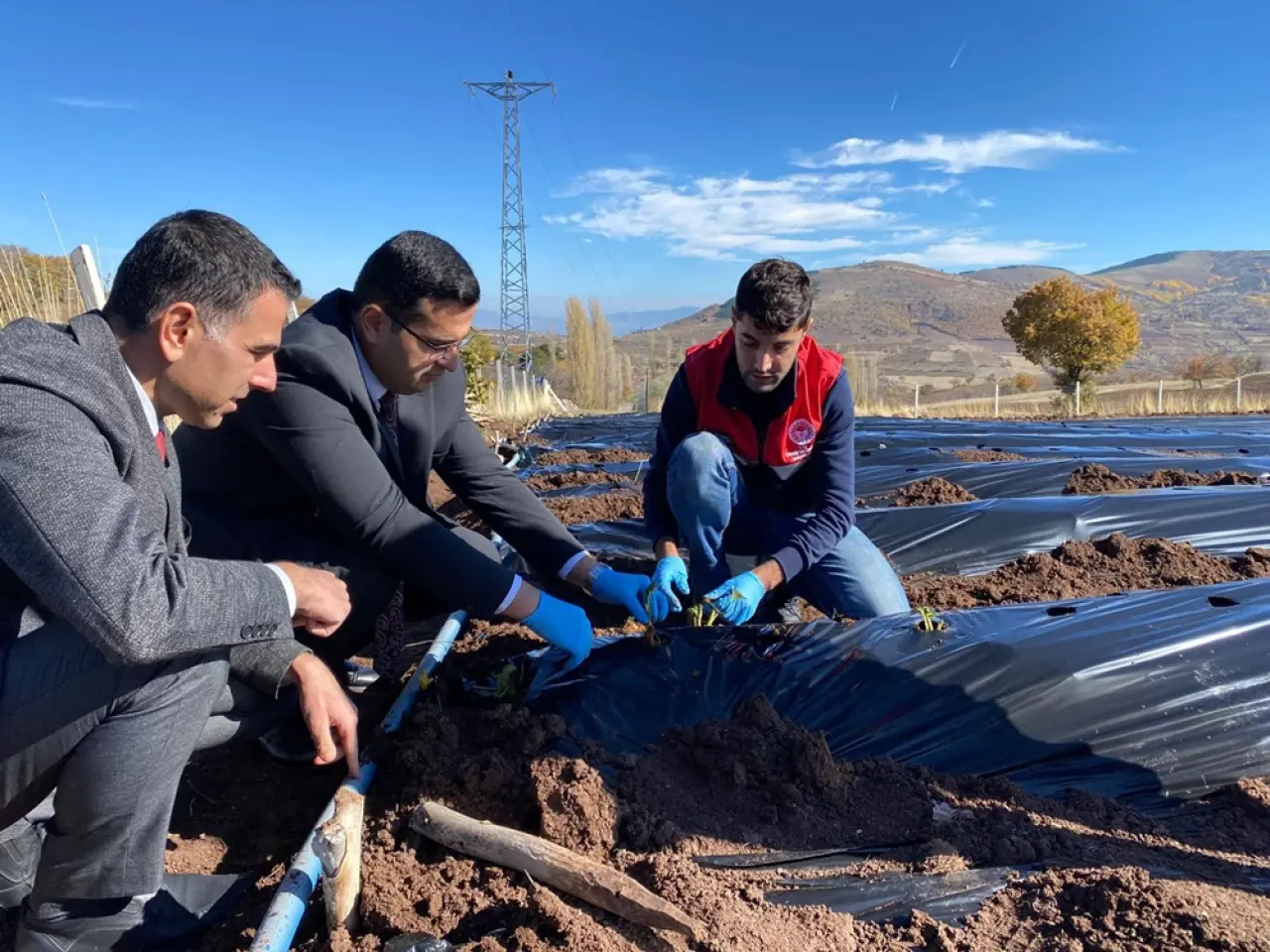 Oğuzlar’da Çilek Üretimini Çeşitlendirme Adımı 1