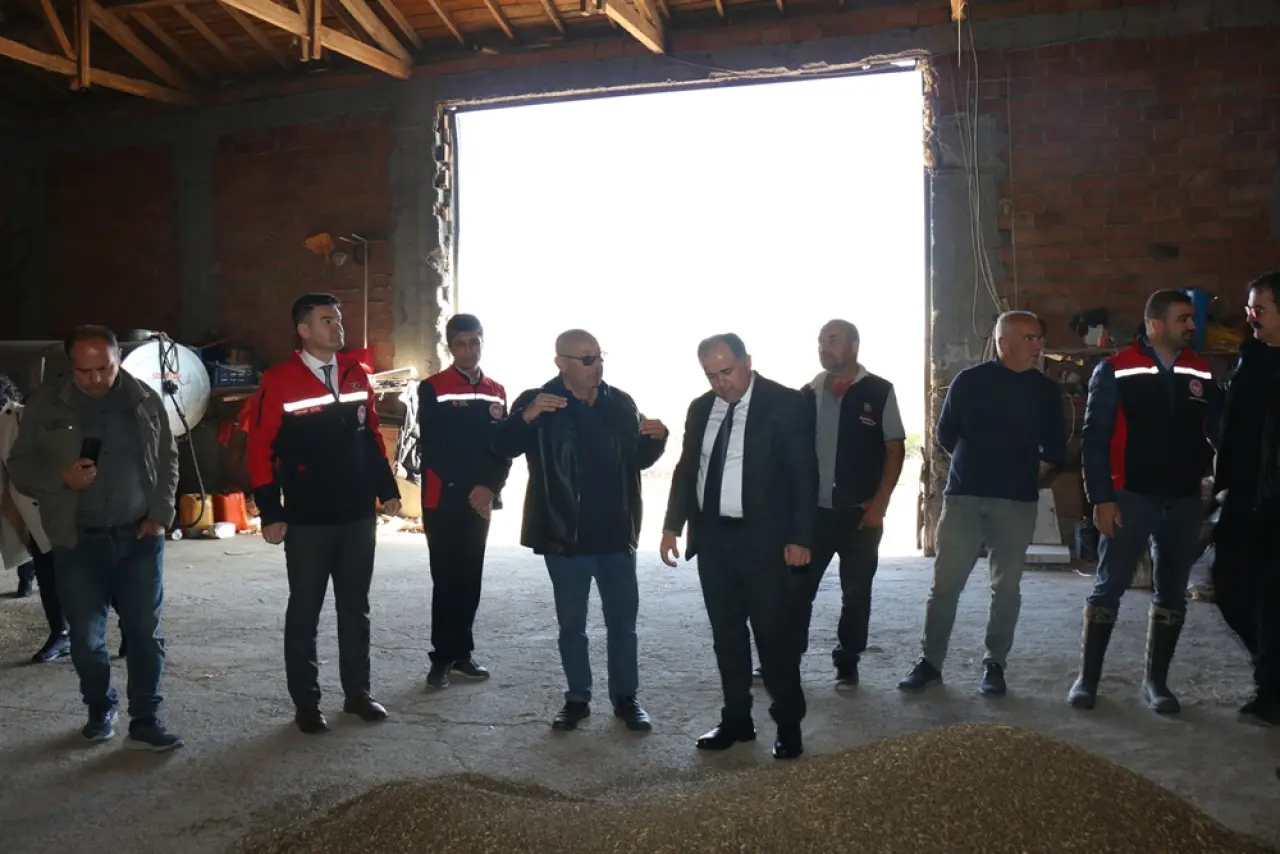 143 Dekar Alanda Kenevir Hasadı 4