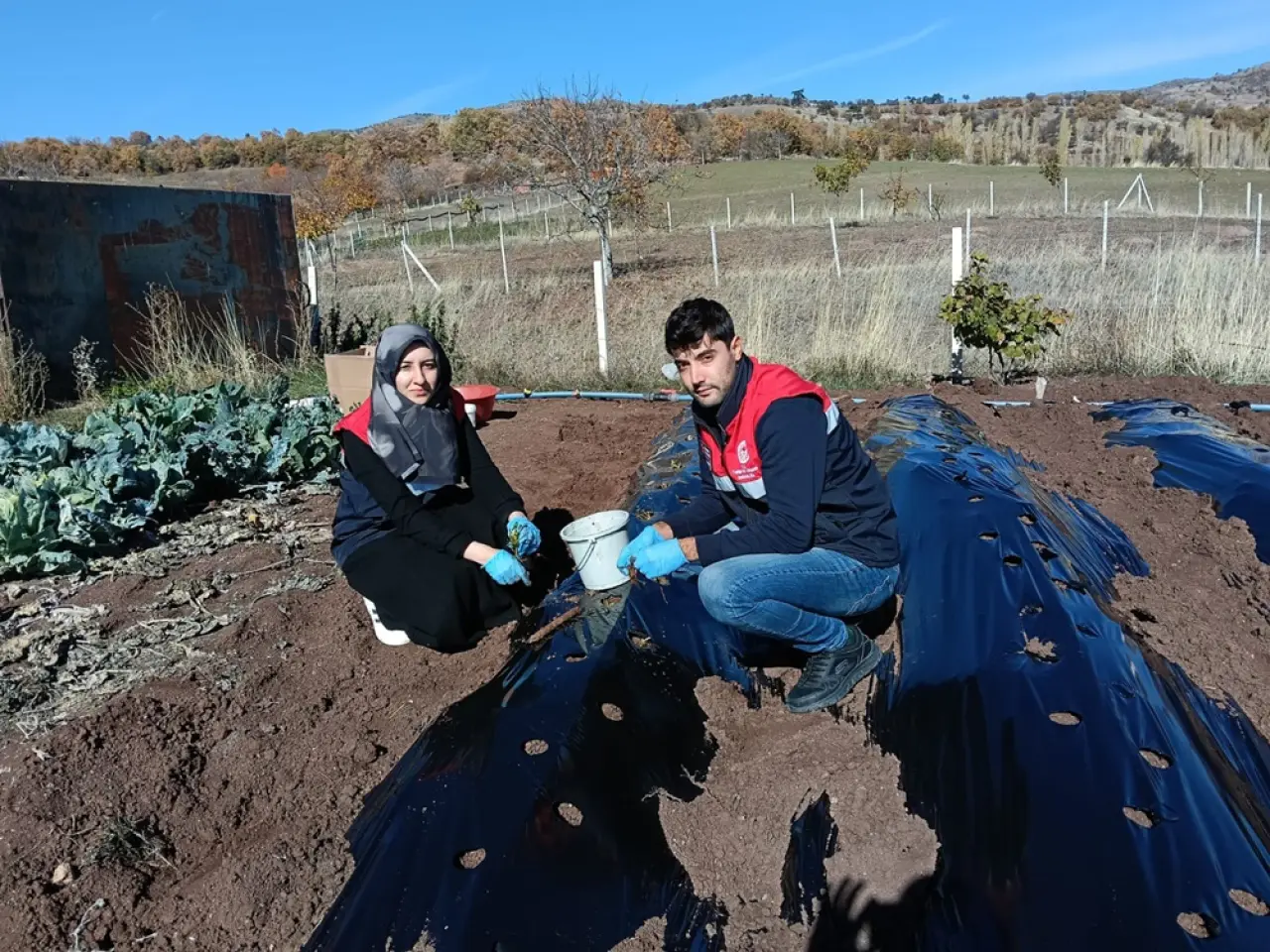Oğuzlar’da Çilek Üretimini Çeşitlendirme Adımı 5