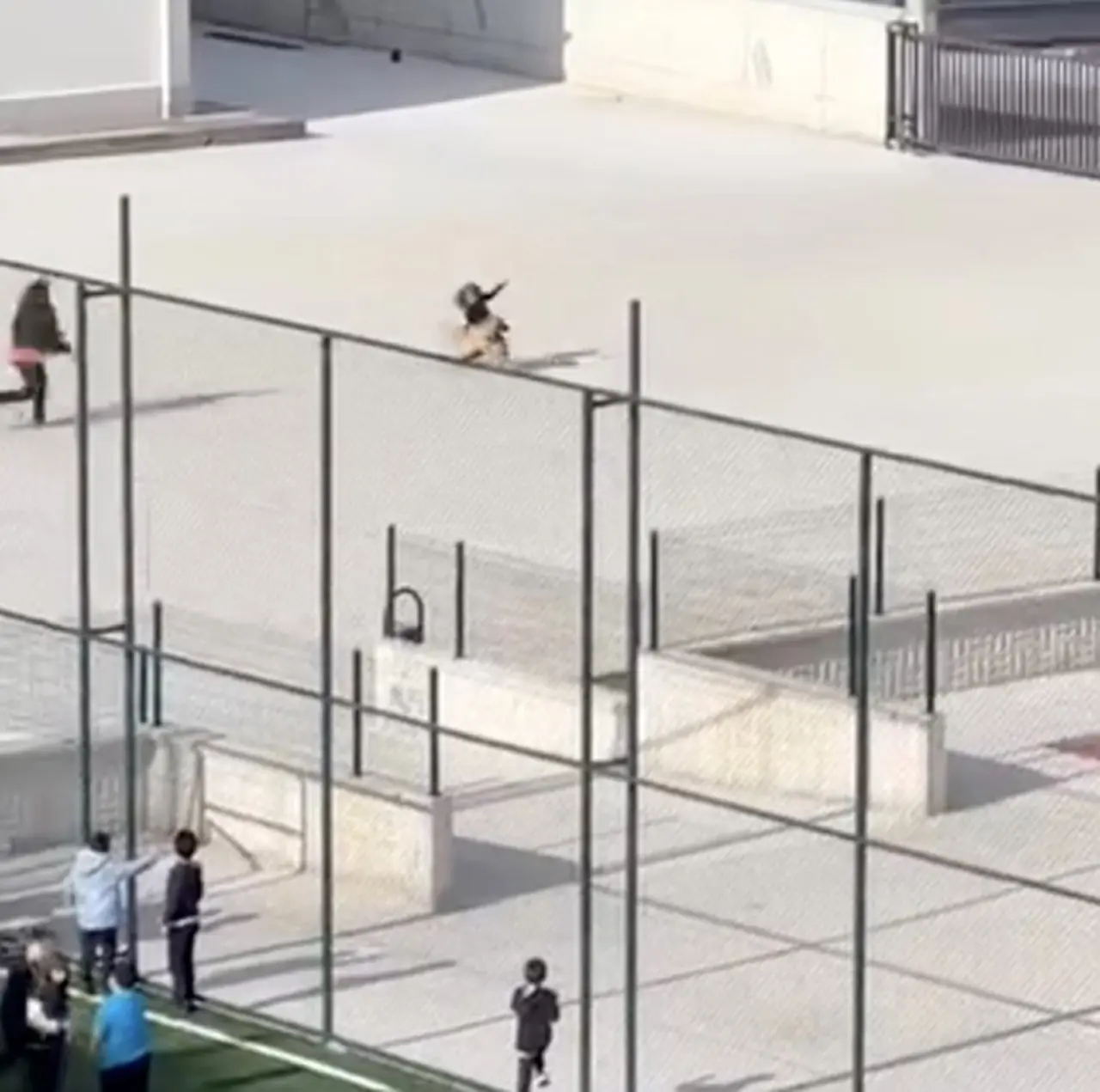 Okul Bahçesine Giren Köpek Panik Yaşattı 1