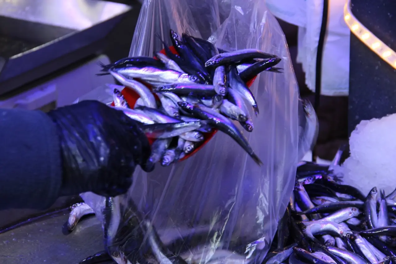 Fiyat Düştü, Talep Arttı 5