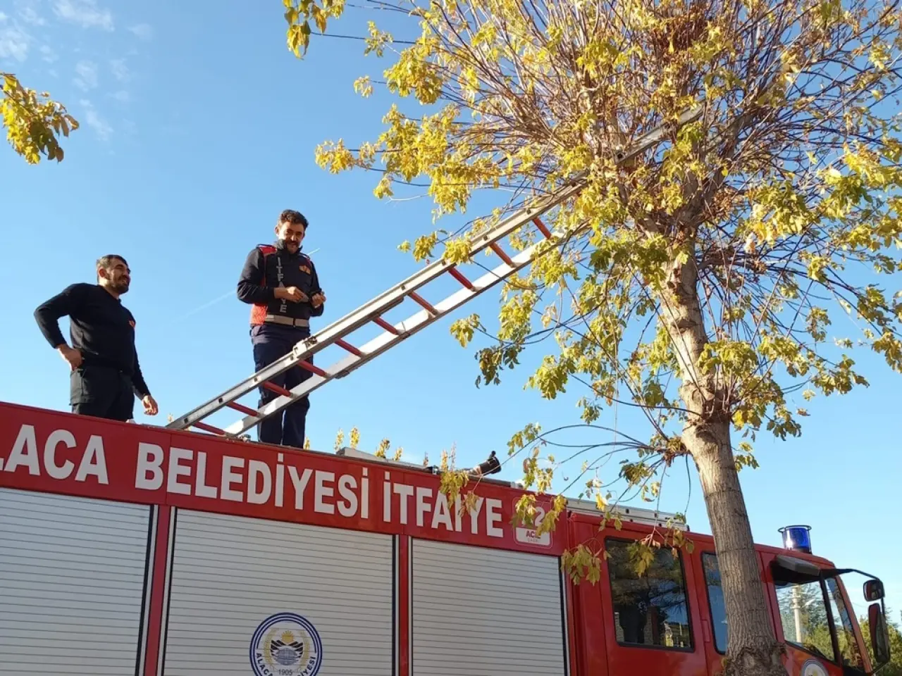 Mahsur Kalan Yavru Kedi İtfaiye Ekiplerince Kurtarıldı 3