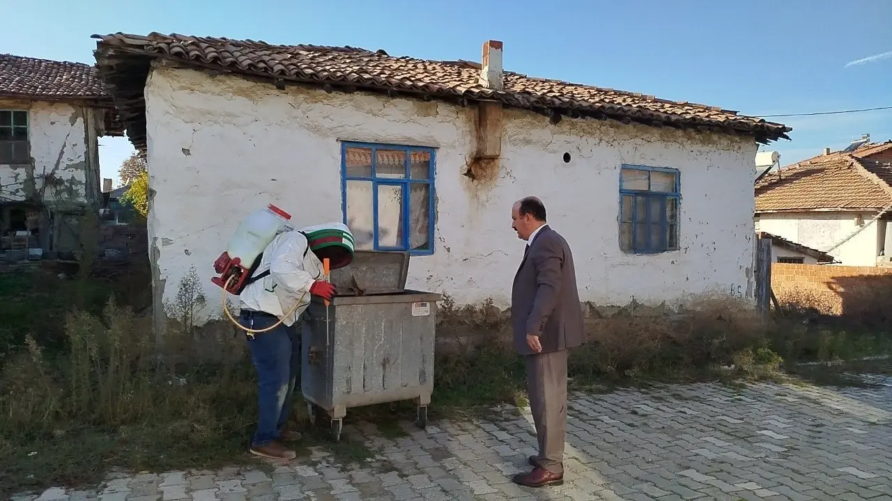 Evin Çatısına Yuva Yapan Eşek Arıları Hastanelik Etti 3