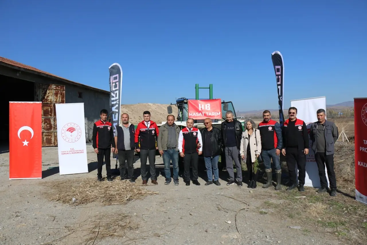 143 Dekar Alanda Kenevir Hasadı 2