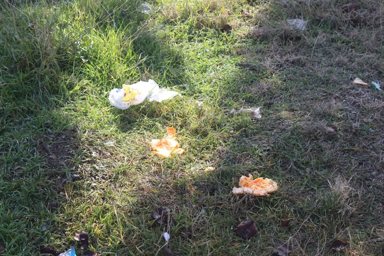 Gelecek Çöpe Atılıyor 8