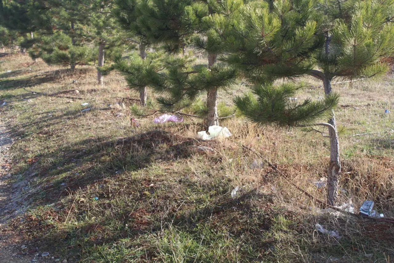 Gelecek Çöpe Atılıyor 4