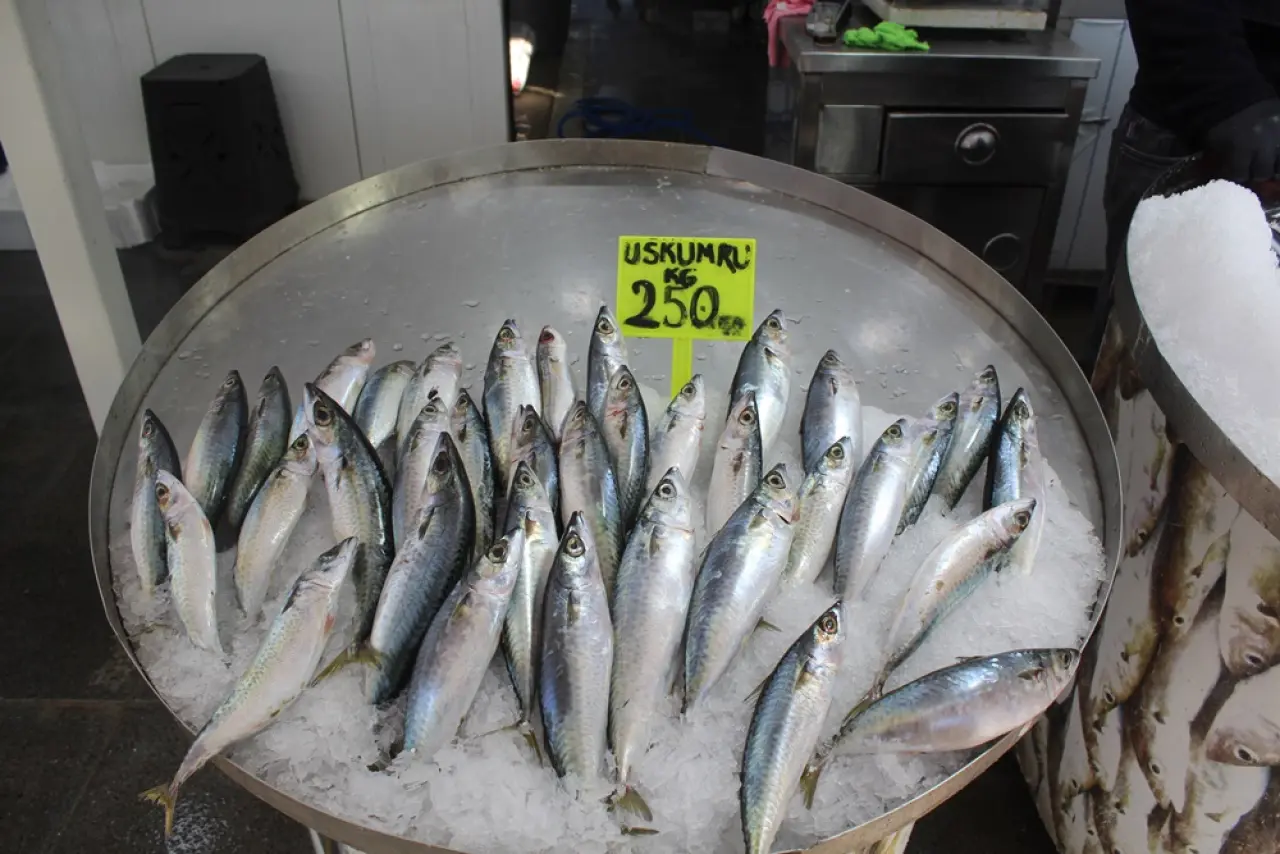 Tezgahlarda Hamsi Bereketi 9