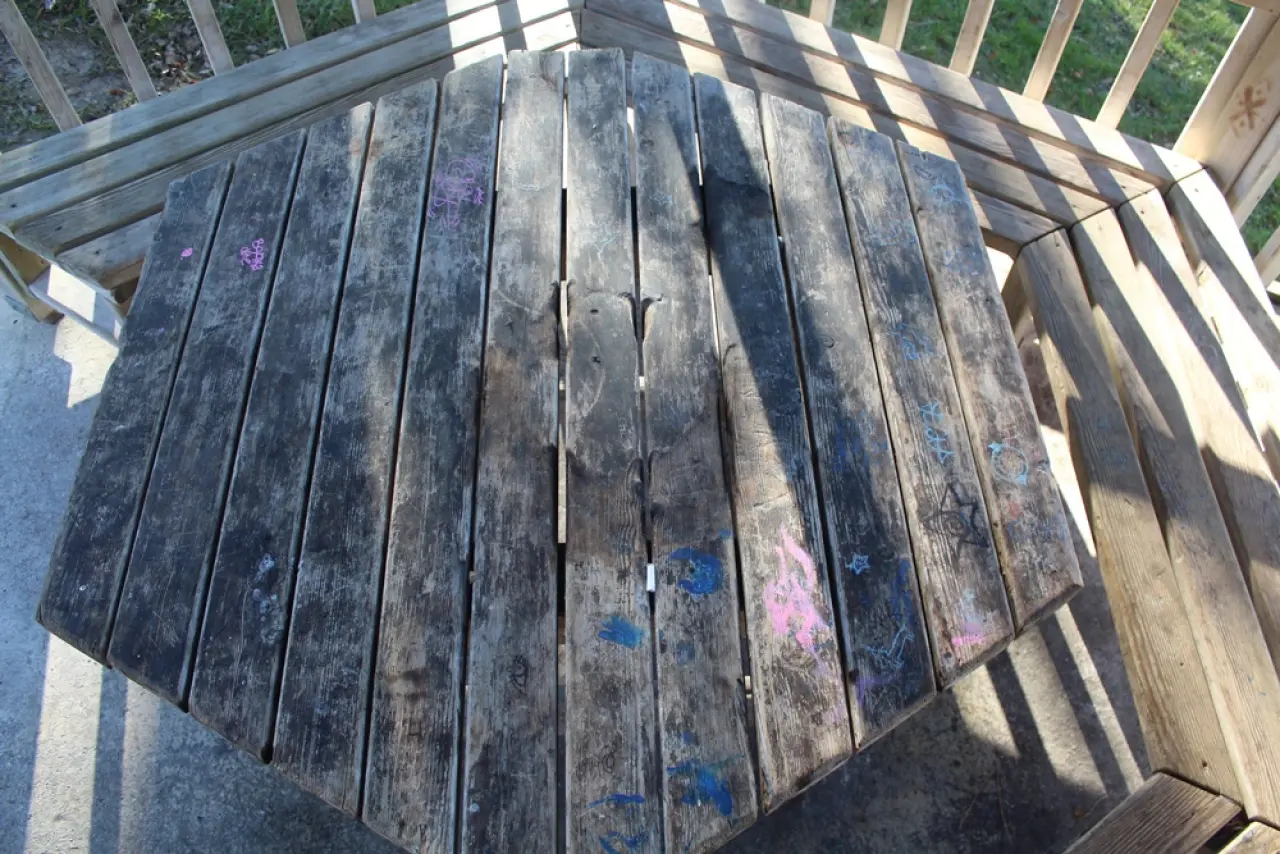 Yeni Yapılan Kamelyalar Hedef Oldu 4