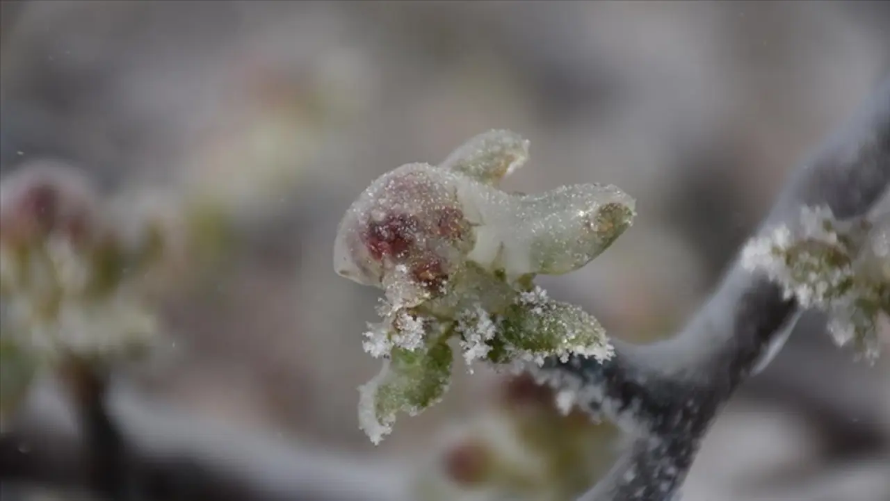 Kar ve Dondurucu Soğuk Kapıda 1