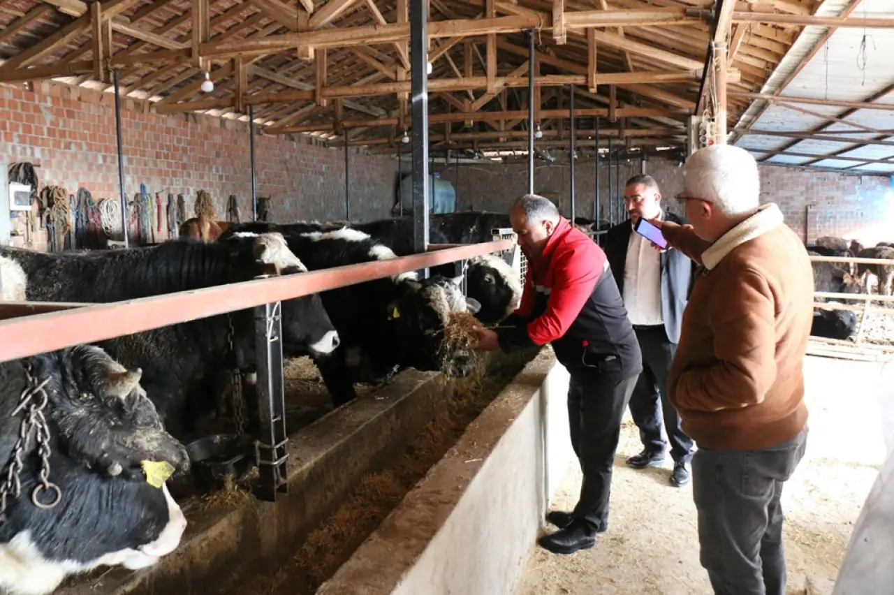 Hayvancılığında Verimlilik ve İş Birliği Odaklı Ziyaret 5