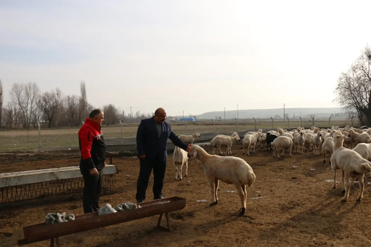 Hayvancılığında Verimlilik ve İş Birliği Odaklı Ziyaret 4