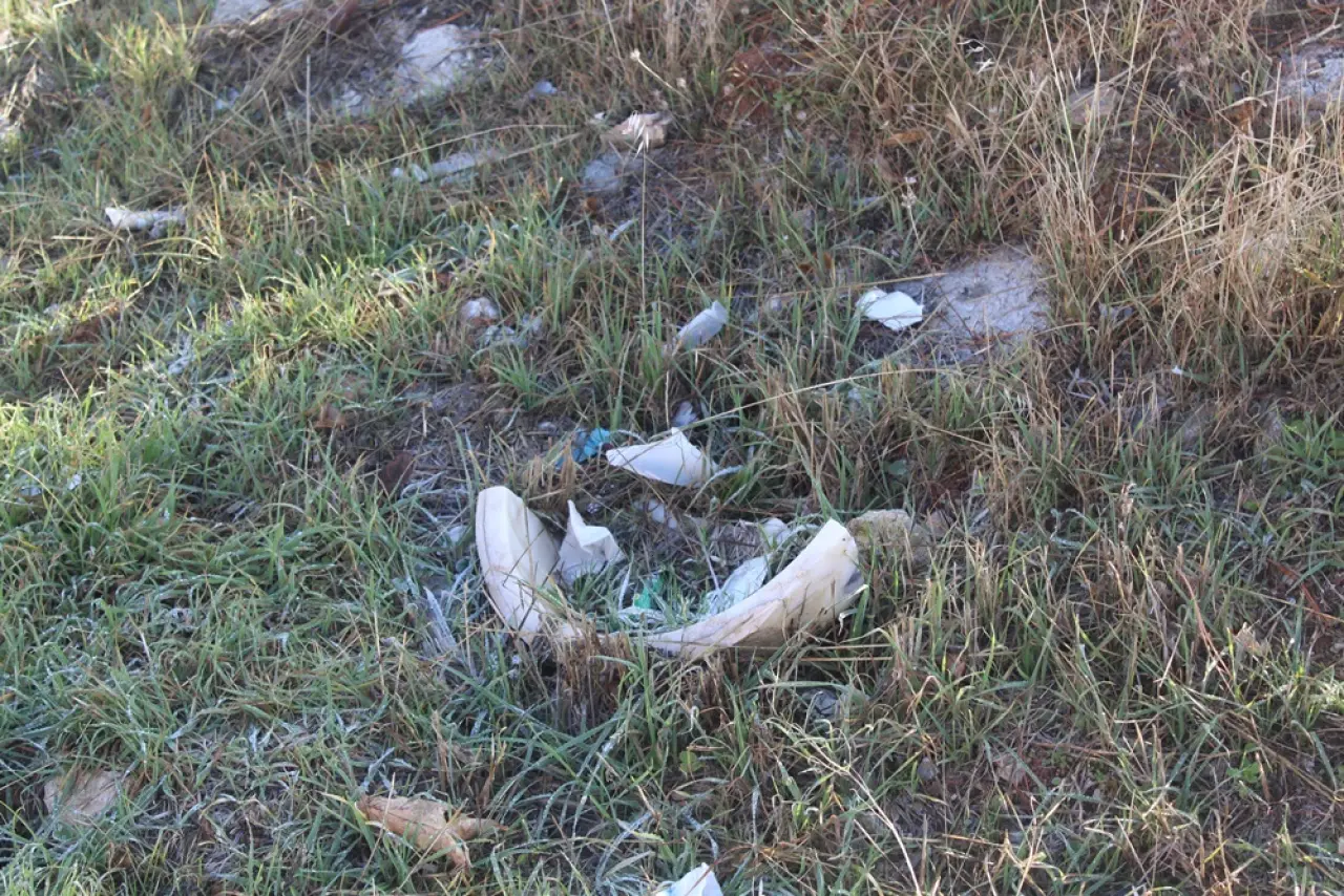 Gelecek Çöpe Atılıyor 2