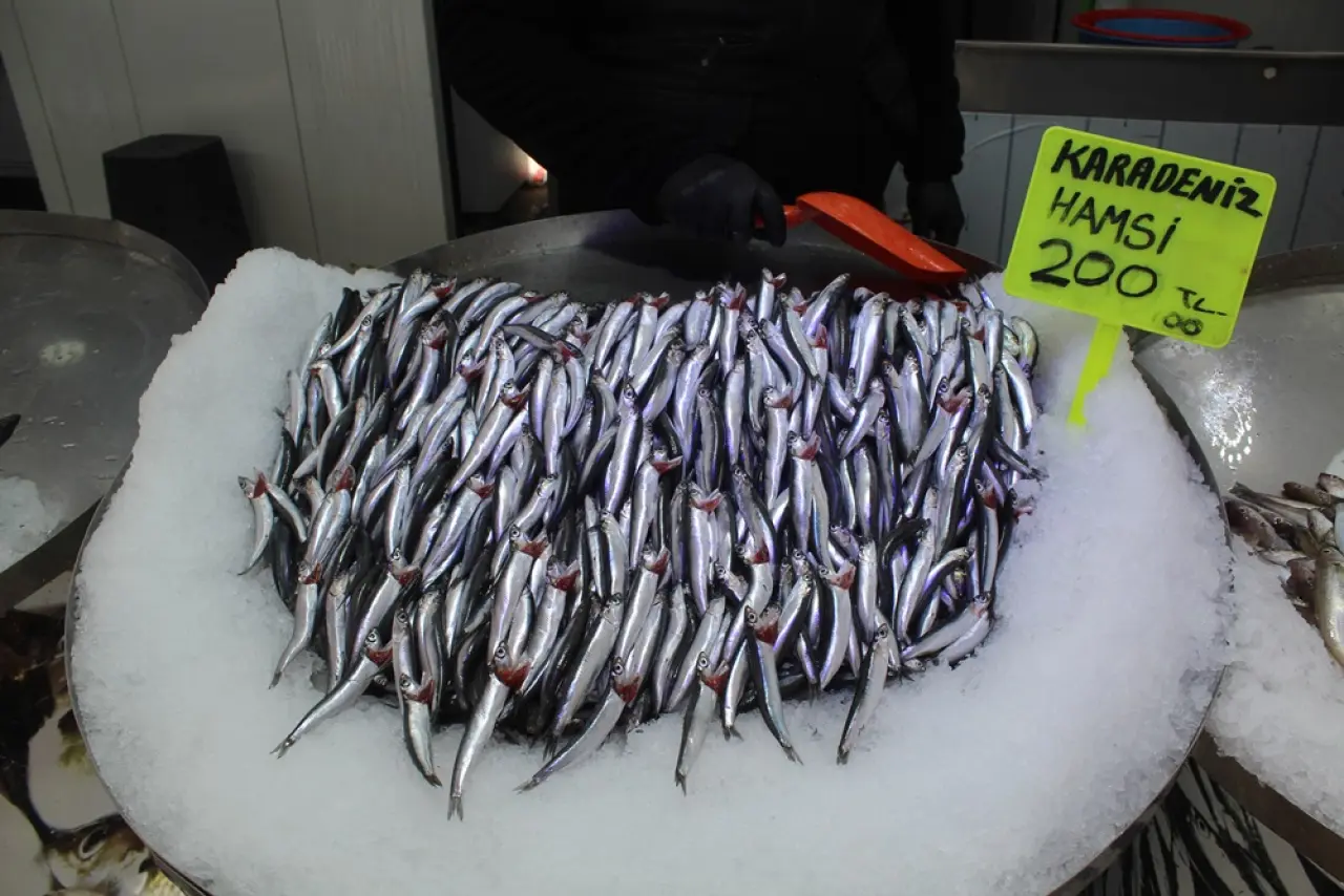 Tezgahlarda Hamsi Bereketi 5