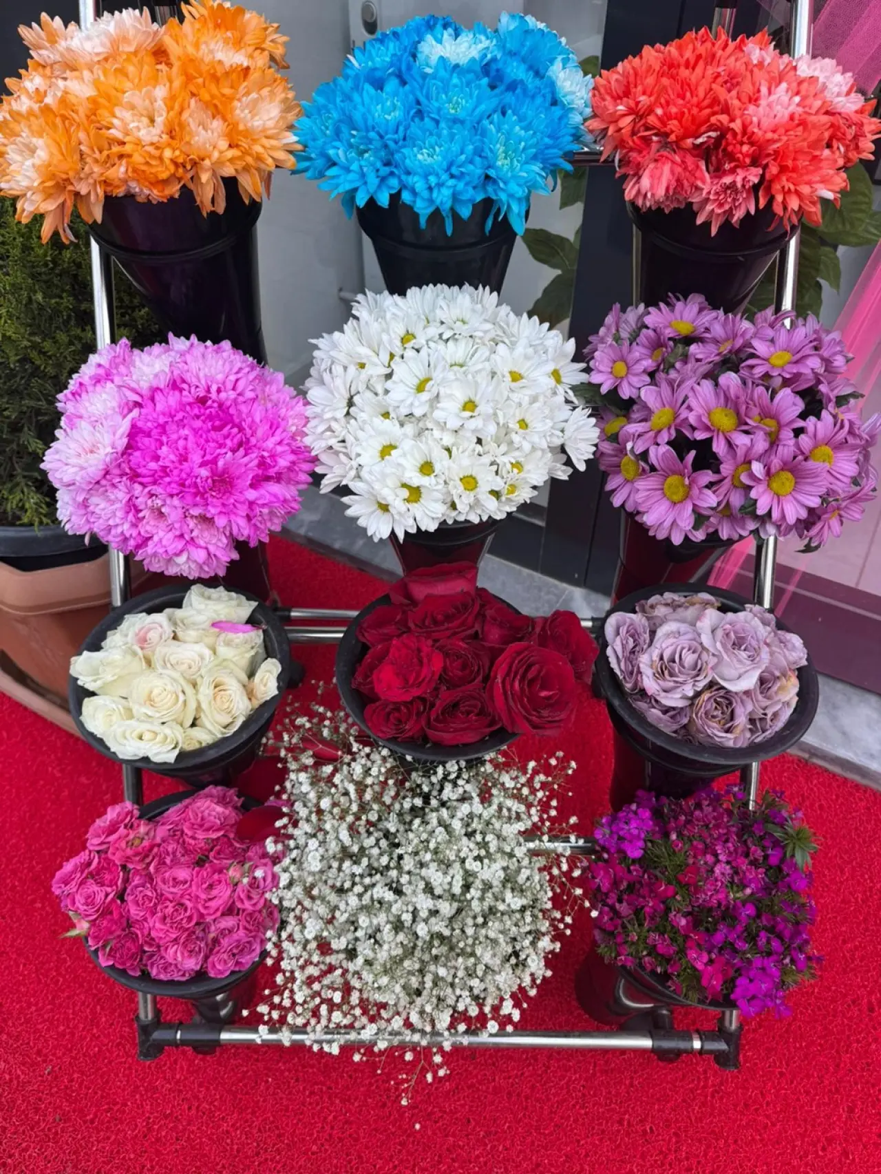 Çiçeklerde Sezon Hareketliliği 3