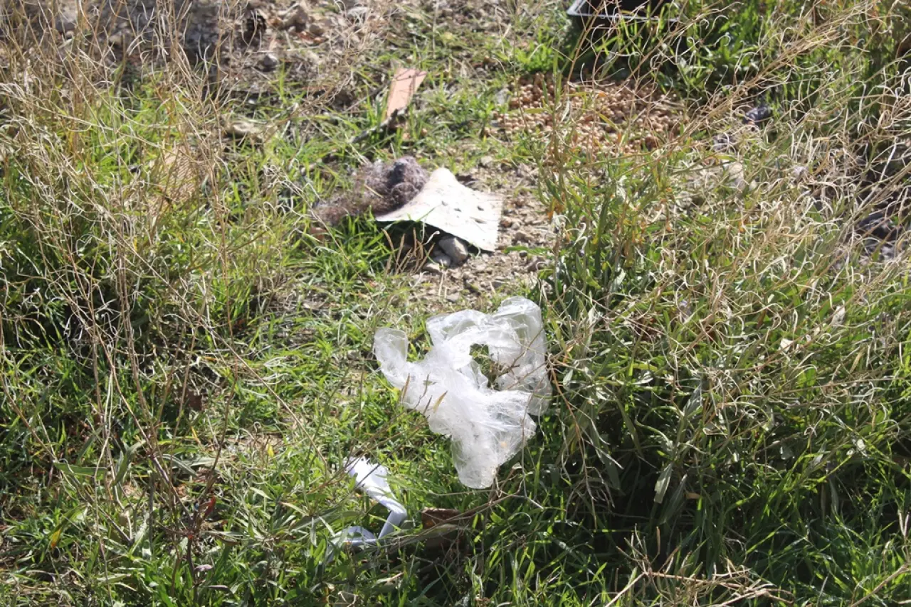 Gelecek Çöpe Atılıyor 5