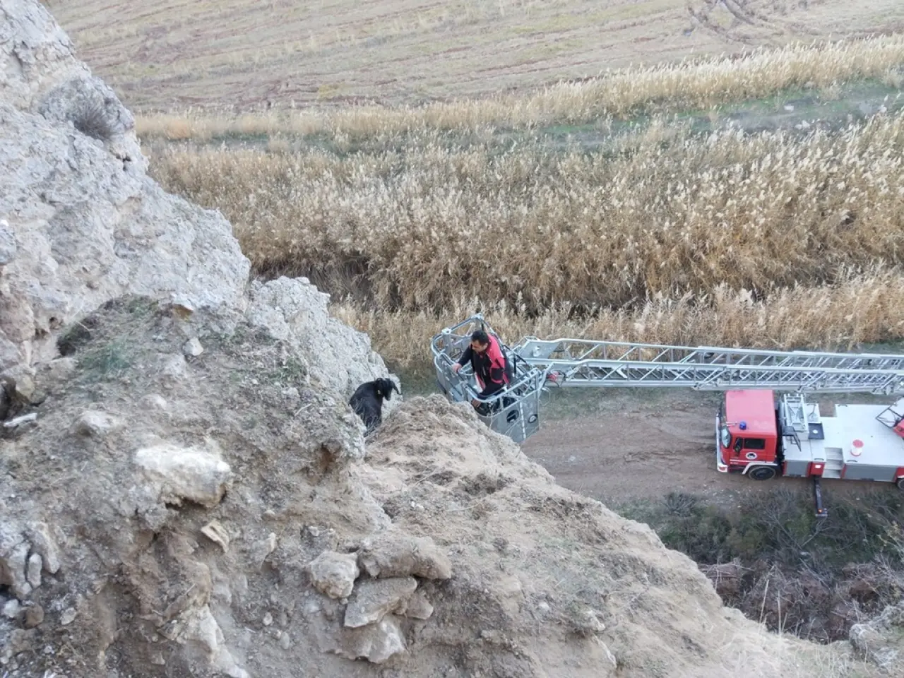 Uçurumda Mahsur Kalan Keçileri İtfaiye Kurtardı 1