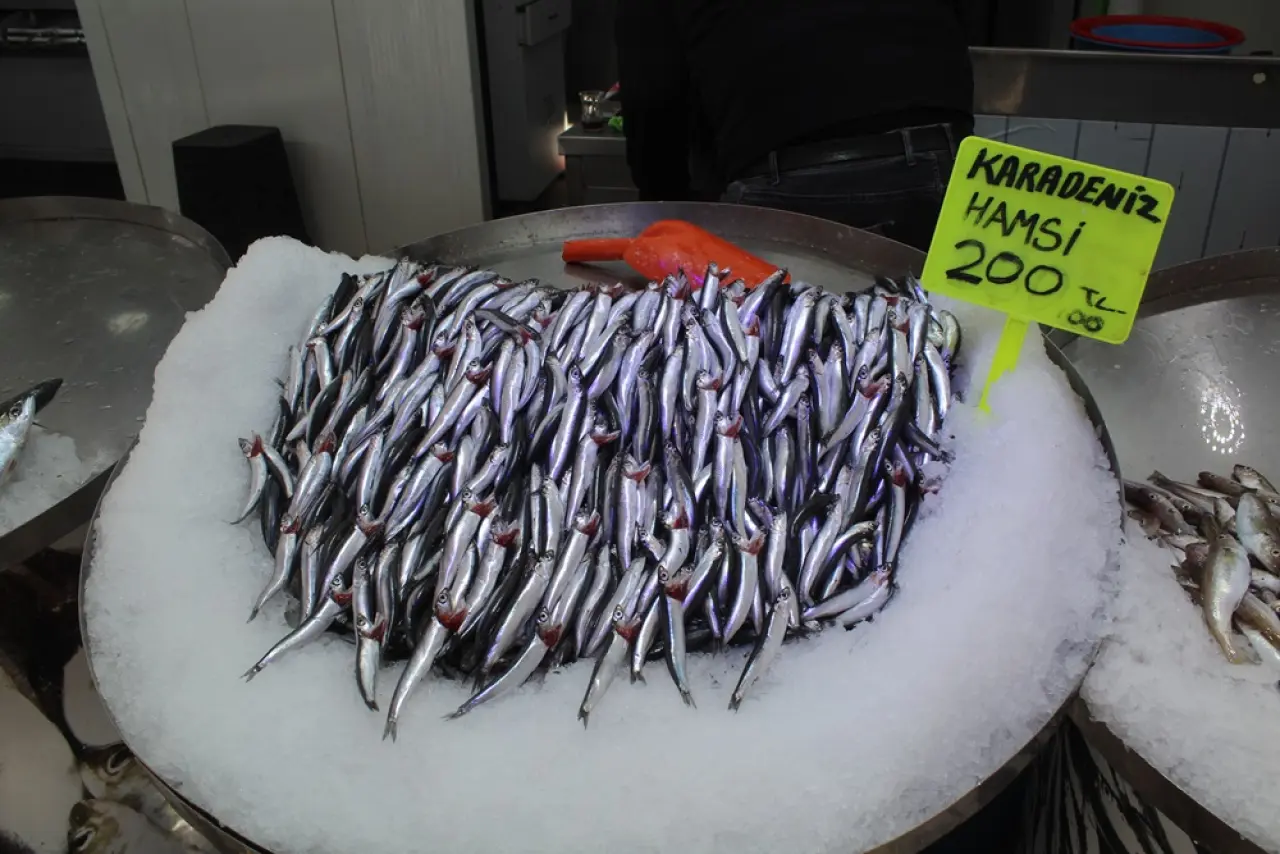 Tezgahlarda Hamsi Bereketi 4