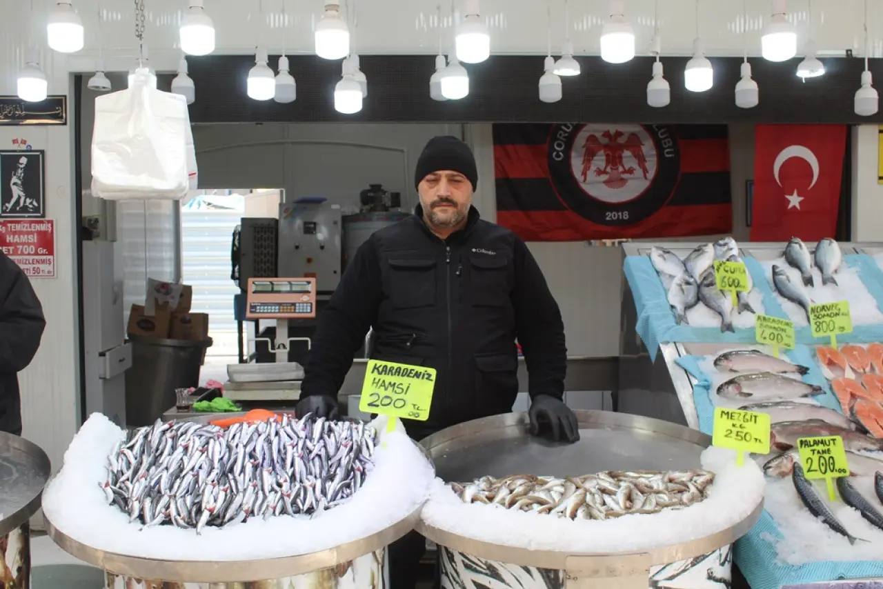 Tezgahlarda Hamsi Bereketi 1