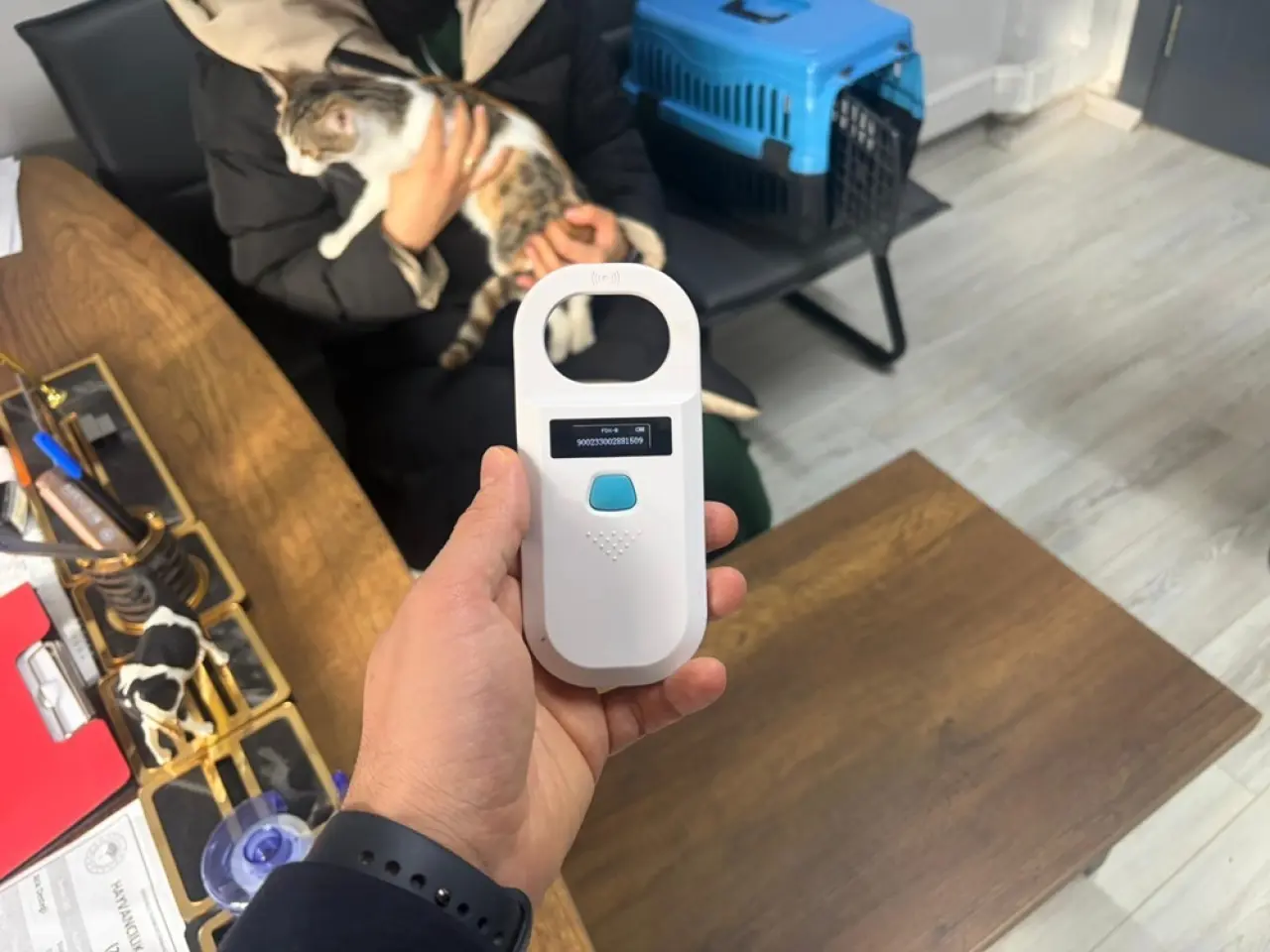 Hem Patiler Hem Gıda Takipte 1